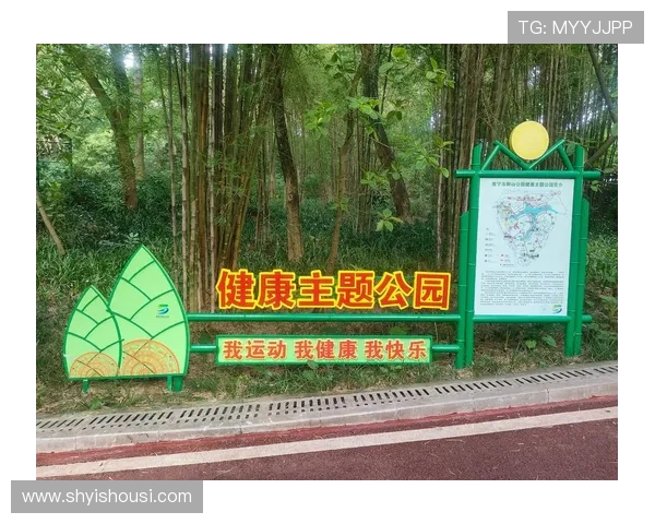 以体育精神为核心推动全民健身与健康中国建设的新发展路径探索