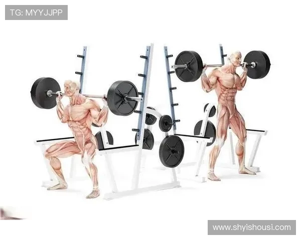 全面提升身体素质的科学健身计划助你塑形增肌燃脂恢复健康