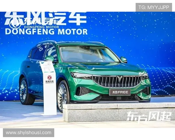 重庆排球队的全面转型与创新发展探索之路